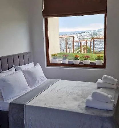 студио тони 2 *