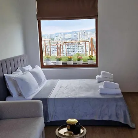 студио тони 2 *