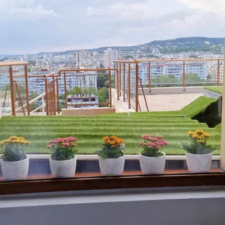 студио тони 2 * Warna