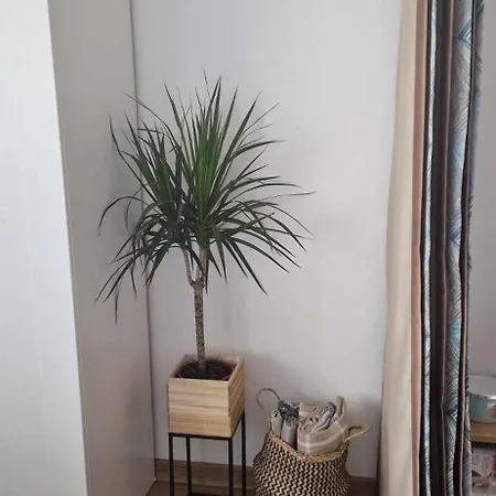 Apartament студио тони 2 Warna