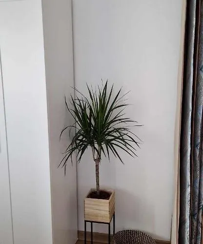 студио тони 2 с панорамна тераса и морска гледка